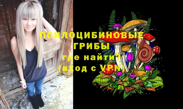 круглые Гусиноозёрск