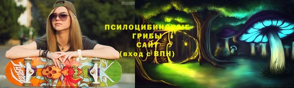 круглые Гусиноозёрск