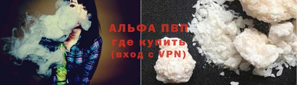 Альфа ПВП Гусев