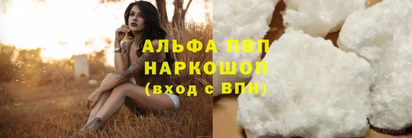 Альфа ПВП Гусев