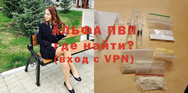 Альфа ПВП Гусев