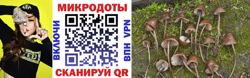 как найти наркотики  Нахабино  Галлюциногенные грибы мицелий 